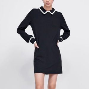Zara collared dress